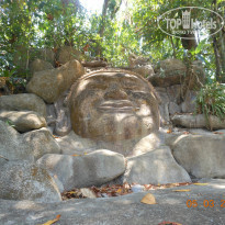 фото из отзыва ID 1338965