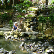 фото из отзыва ID 1333058