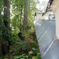 фото из отзыва ID 1332398