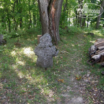 фото из отзыва ID 1332398