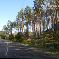 фото из отзыва ID 1331657