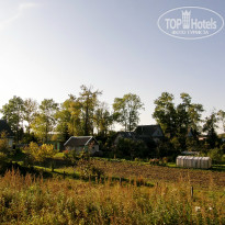 фото из отзыва ID 1331657