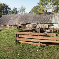 фото из отзыва ID 1331657