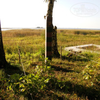 фото из отзыва ID 1331657