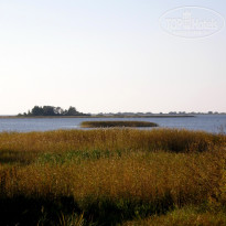 фото из отзыва ID 1331657