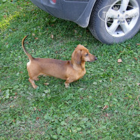 фото из отзыва ID 1331657