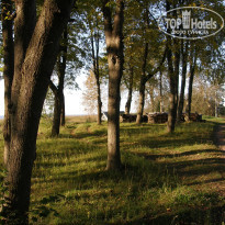 фото из отзыва ID 1331657