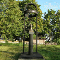 фото из отзыва ID 1331657