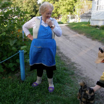 фото из отзыва ID 1331657