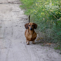 фото из отзыва ID 1331657