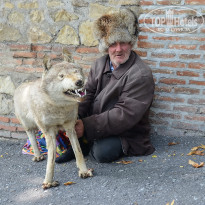 фото из отзыва ID 1332580