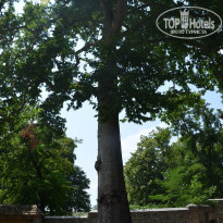 фото из отзыва ID 1332580