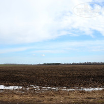 фото из отзыва ID 1333108