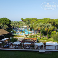 фото из отзыва ID 1340048