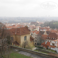 фото из отзыва ID 1340052