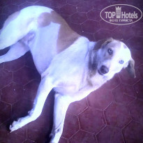 фото из отзыва ID 1340125