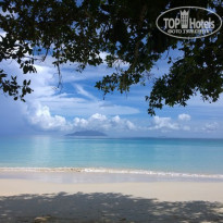 фото из отзыва ID 1340278