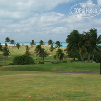 фото из отзыва ID 1340363