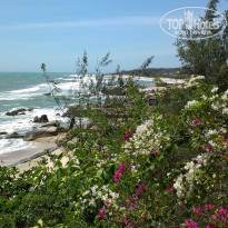 фото из отзыва ID 1340373