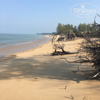 фото из отзыва ID 1340269