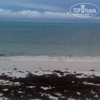 фото из отзыва ID 1340559