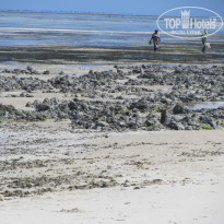 фото из отзыва ID 1340559