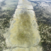 фото из отзыва ID 1340559