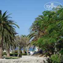 фото из отзыва ID 1340583