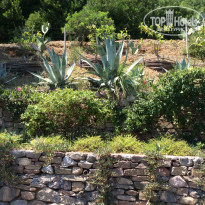 фото из отзыва ID 1340621