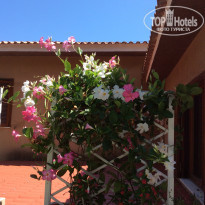 фото из отзыва ID 1340621