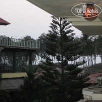 фото из отзыва ID 1340828