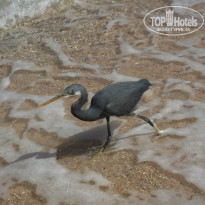 фото из отзыва ID 1341060