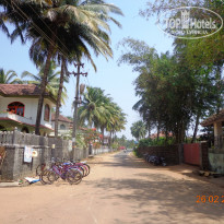 фото из отзыва ID 1341076