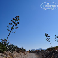 фото из отзыва ID 1341247