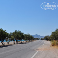 фото из отзыва ID 1341247