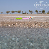 фото из отзыва ID 1341247