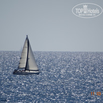 фото из отзыва ID 1341269