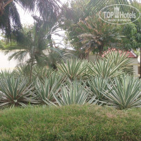 фото из отзыва ID 1341279