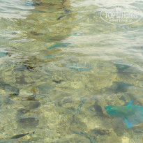 фото из отзыва ID 1341307