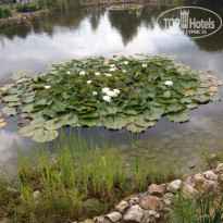 фото из отзыва ID 1341323