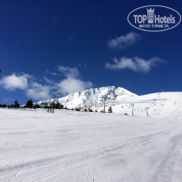 фото из отзыва ID 1341334