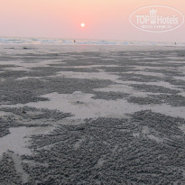 фото из отзыва ID 1341397