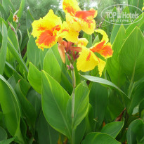 фото из отзыва ID 1341465