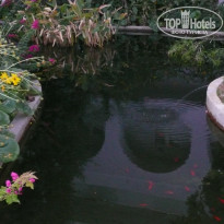 фото из отзыва ID 1341465