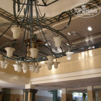 фото из отзыва ID 1341510