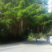 фото из отзыва ID 1341631