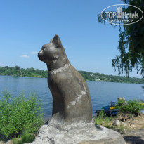 фото из отзыва ID 1341691