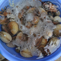 фото из отзыва ID 1341113