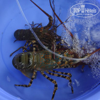 фото из отзыва ID 1341113