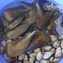 фото из отзыва ID 1341113